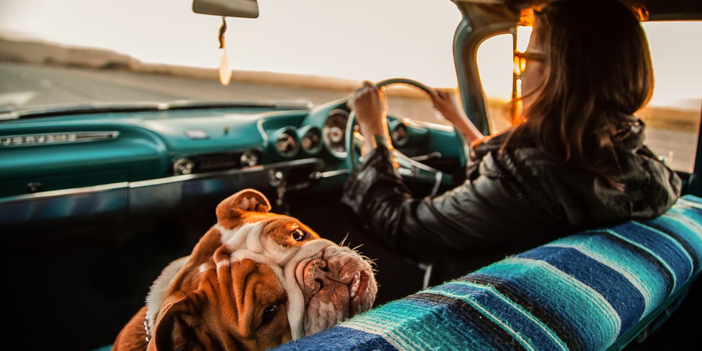 mindful-driving-blog-feature