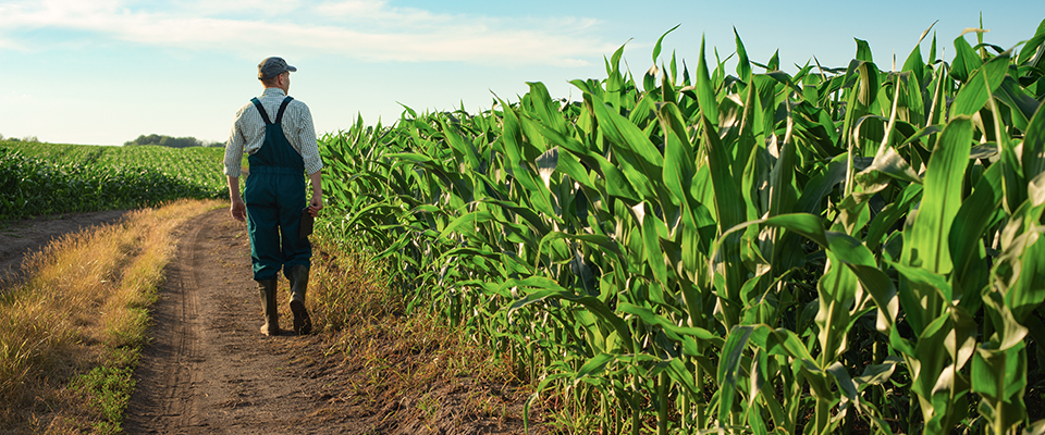 Farm Safely This Spring