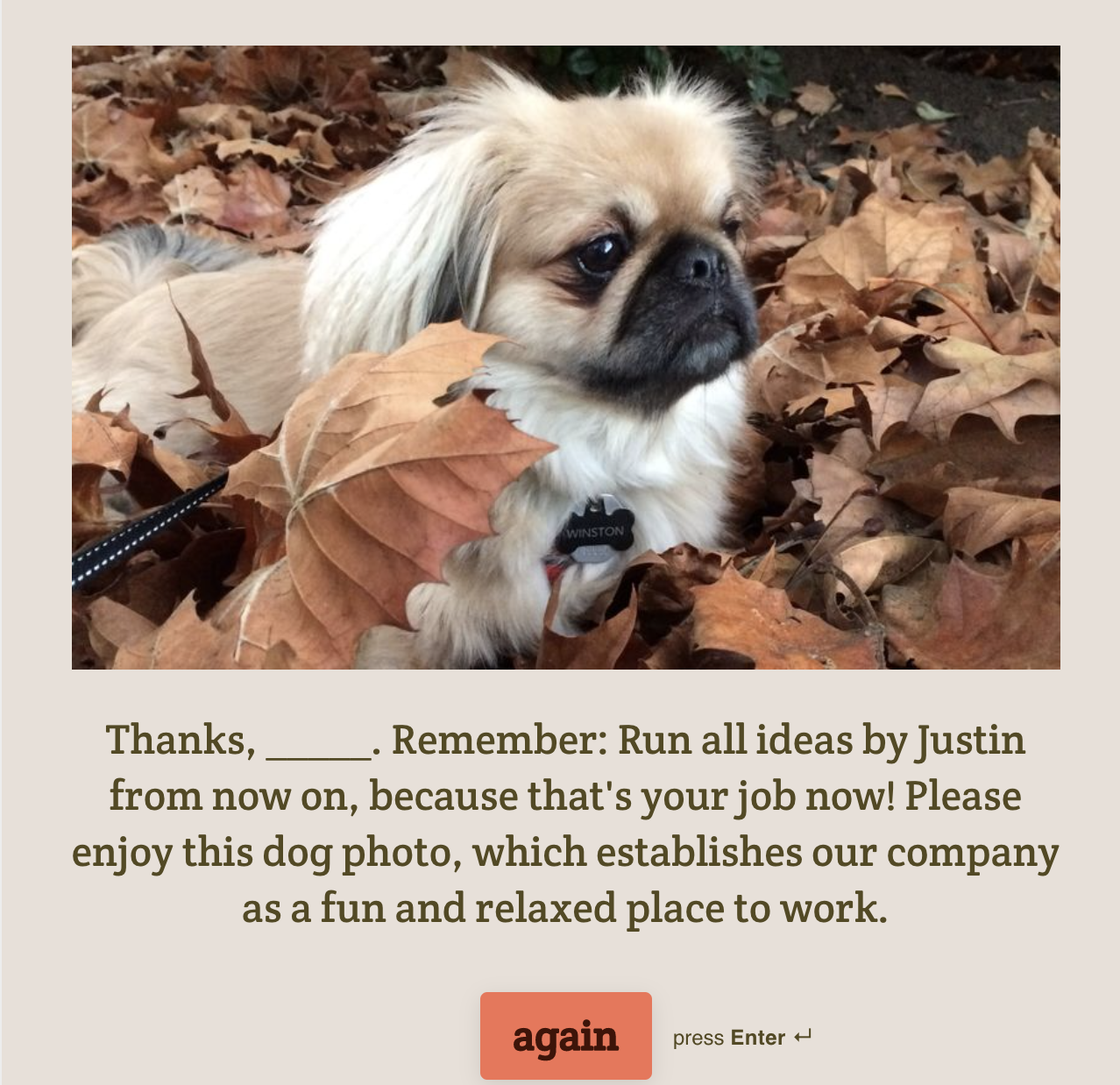 Typeform thank you screen with Winston