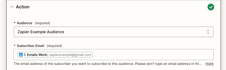 An audience and an email have been added to fields in the Zap editor.