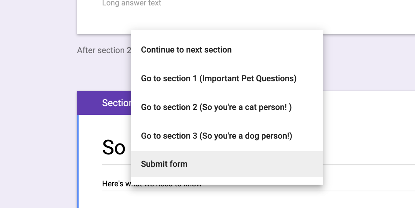 Google Forms logic: after section drop down choices