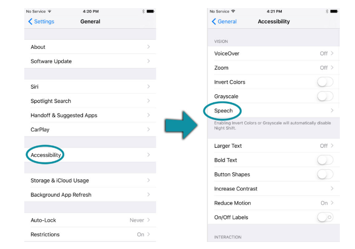 iPad Speech Accessibility setting