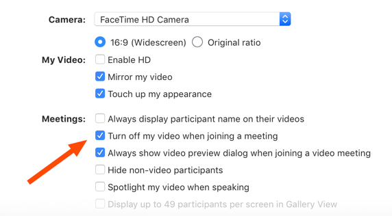 Zoom video options