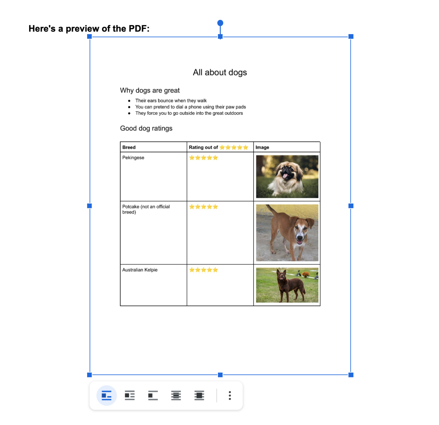 Image of a PDF inserted in Google Docs.