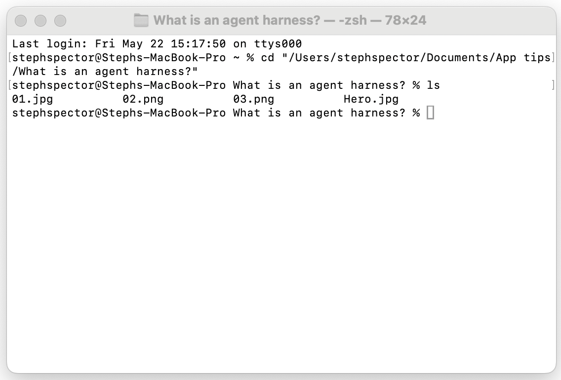 A terminal that lists the contents of a folder with image files