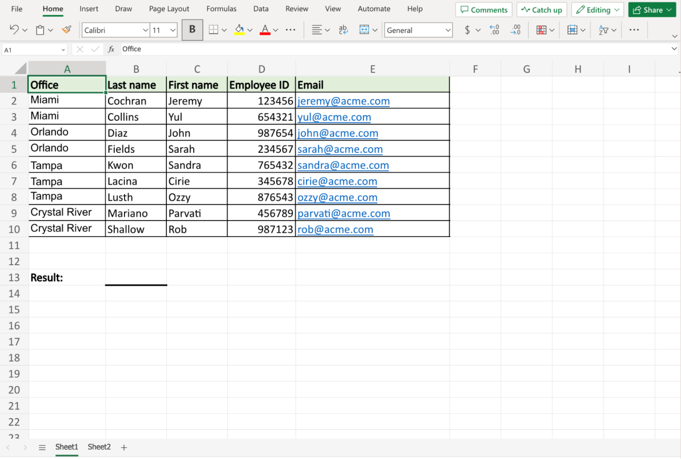 Demo Excel spreadsheet with employee names, IDs, and company email addresses. 