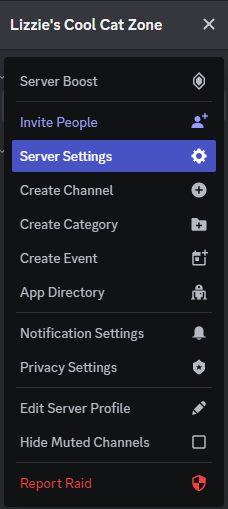 Discord server settings