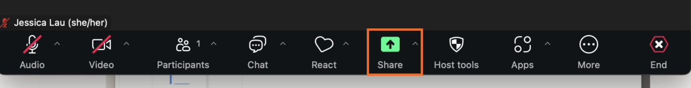 Zoom control bar with the Share option highlighted.