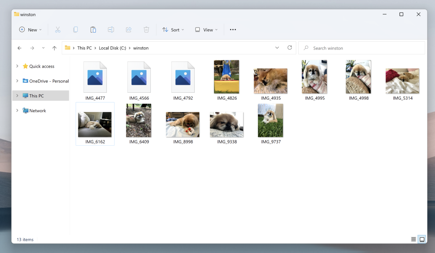 A folder of images on a Mac