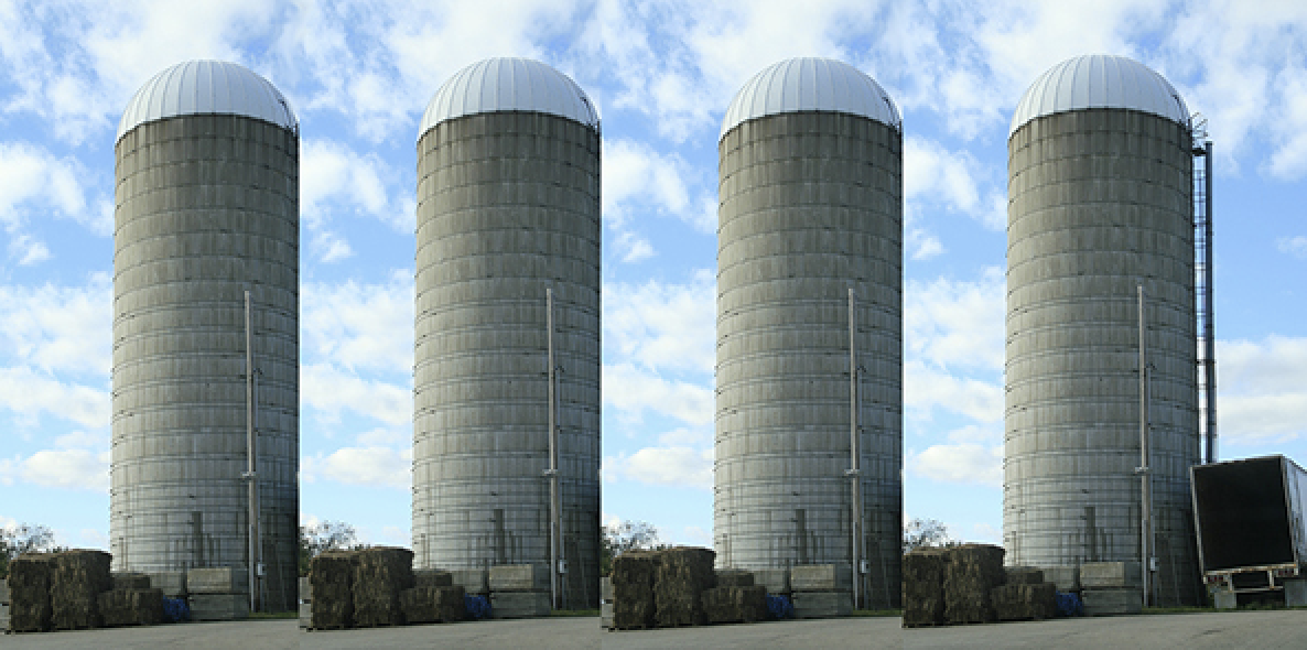 Silo Mentality: Definition in Business, Causes, and Solutions