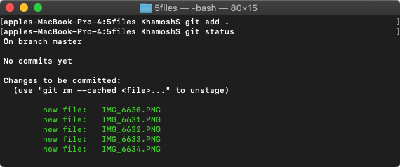 git status check