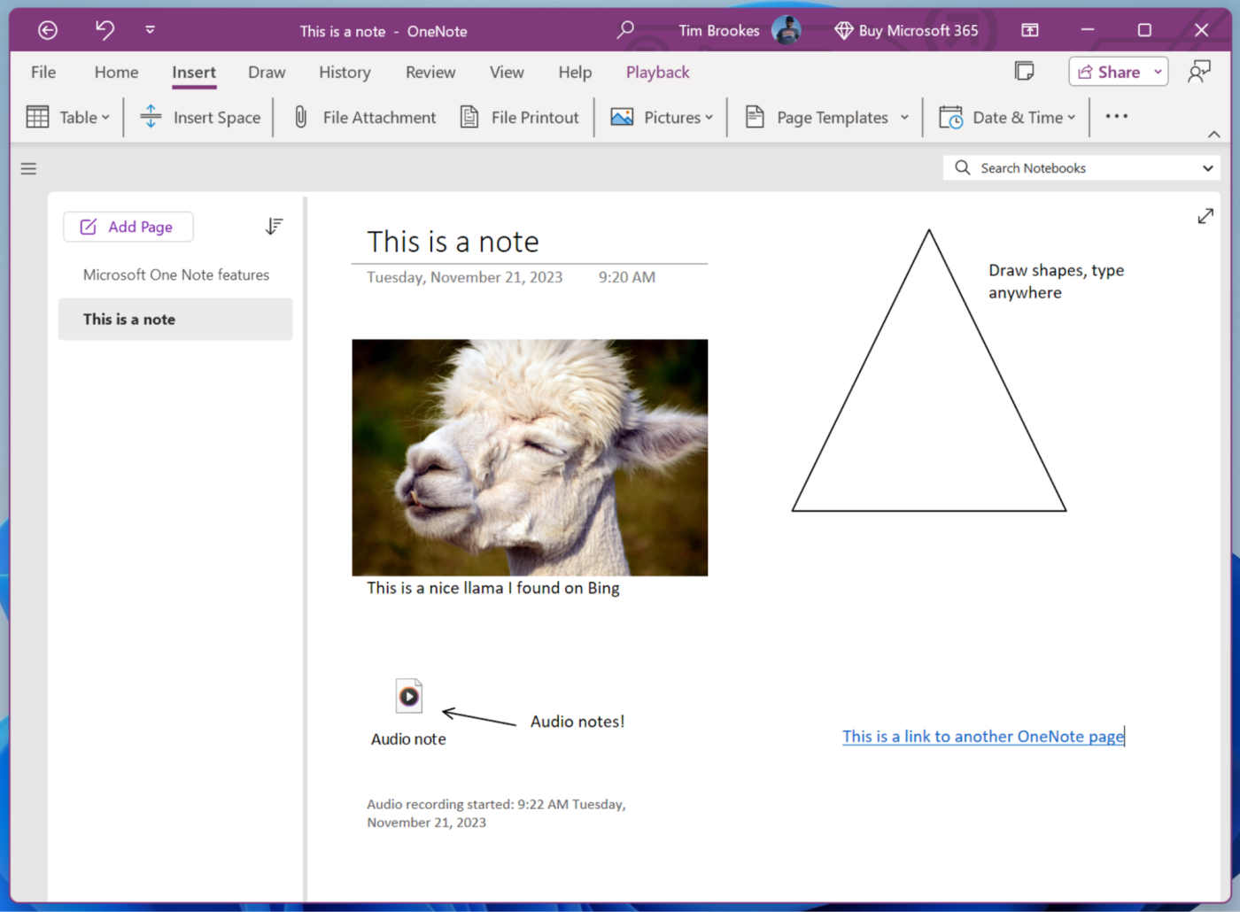 OneNote, our pick for the best Windows productivity app for note-taking