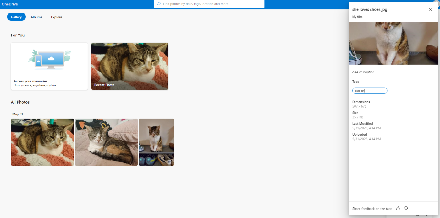 Adding tags to photos in OneDrive