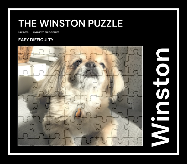 An example of a puzzle Elena made with the face of the perfect dog