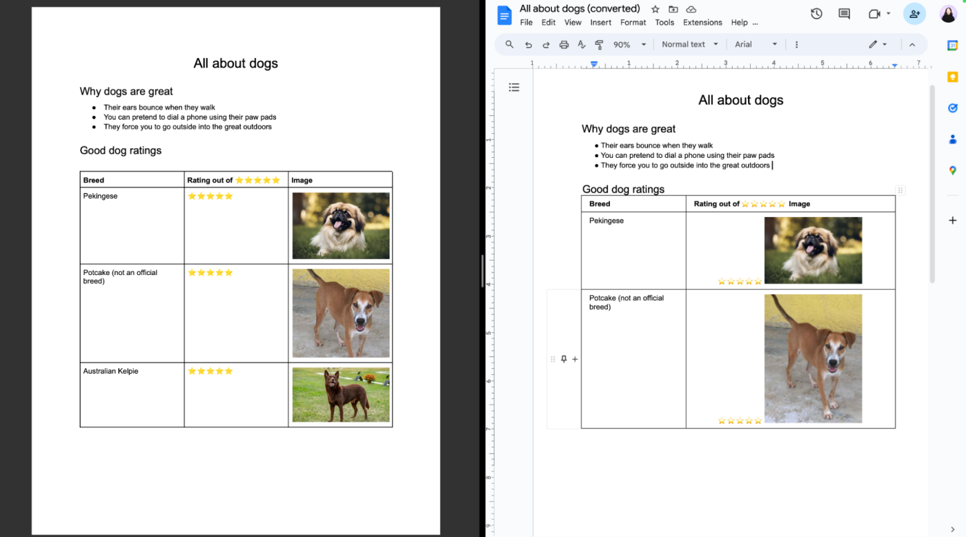 Split screen comparing a PDF and the converted version in Google Docs. 