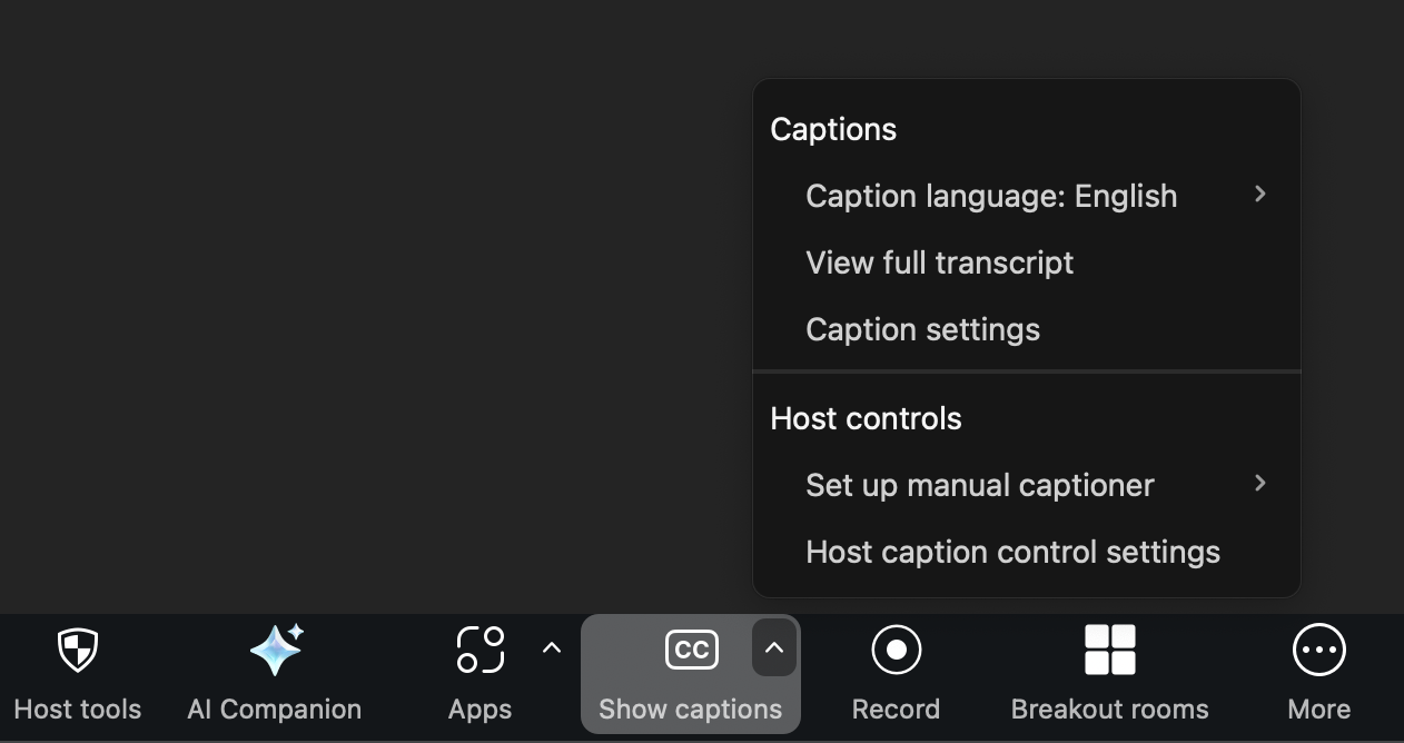 Expanded view of the show captions menu from the Zoom control bar. 