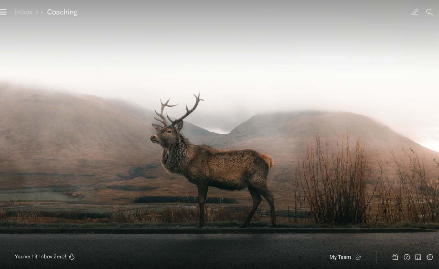 A pleasing image of a moose indicating Inbox Zero in Superhuman