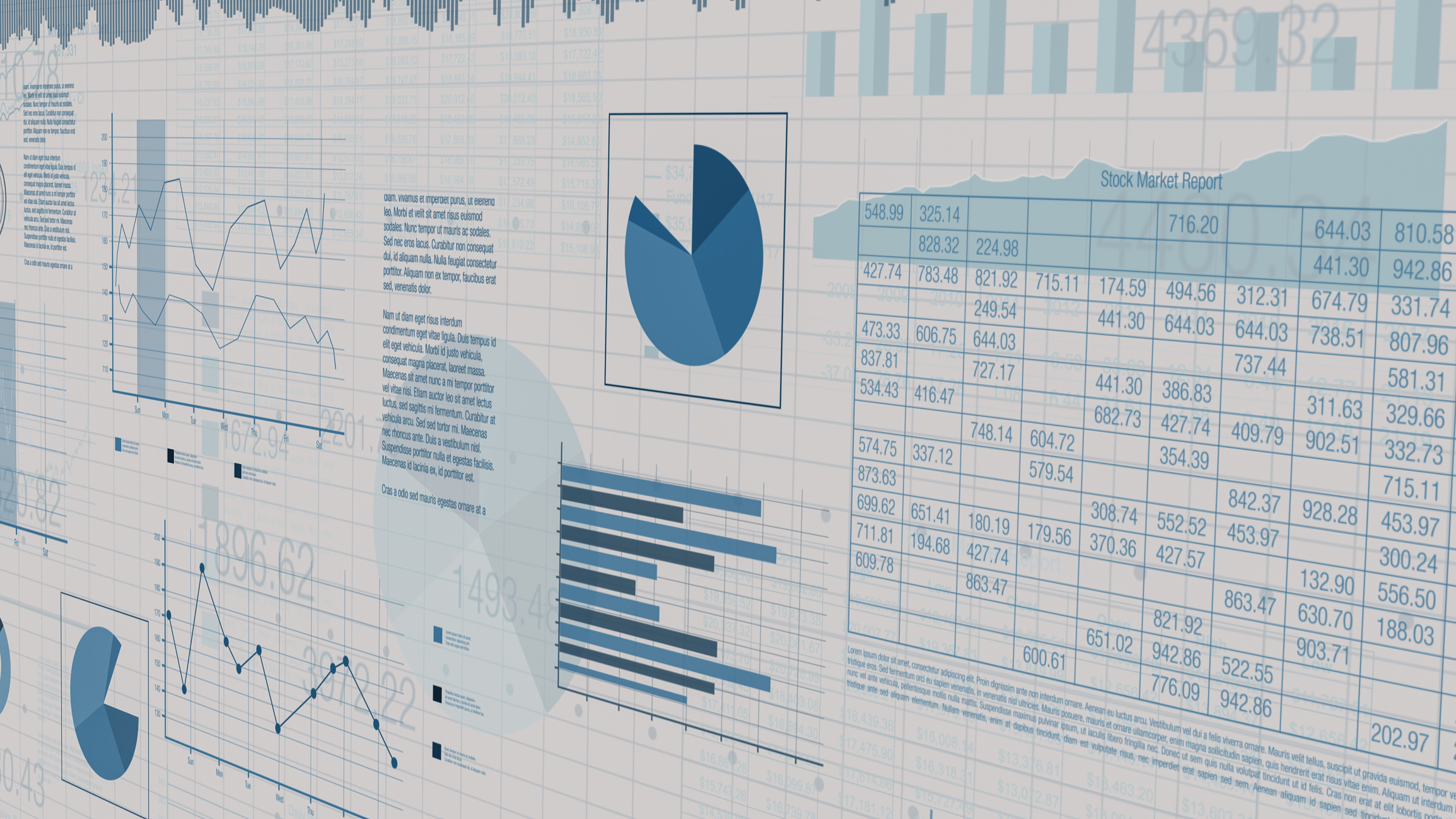 A computer monitor showing a combination of charts and tables.