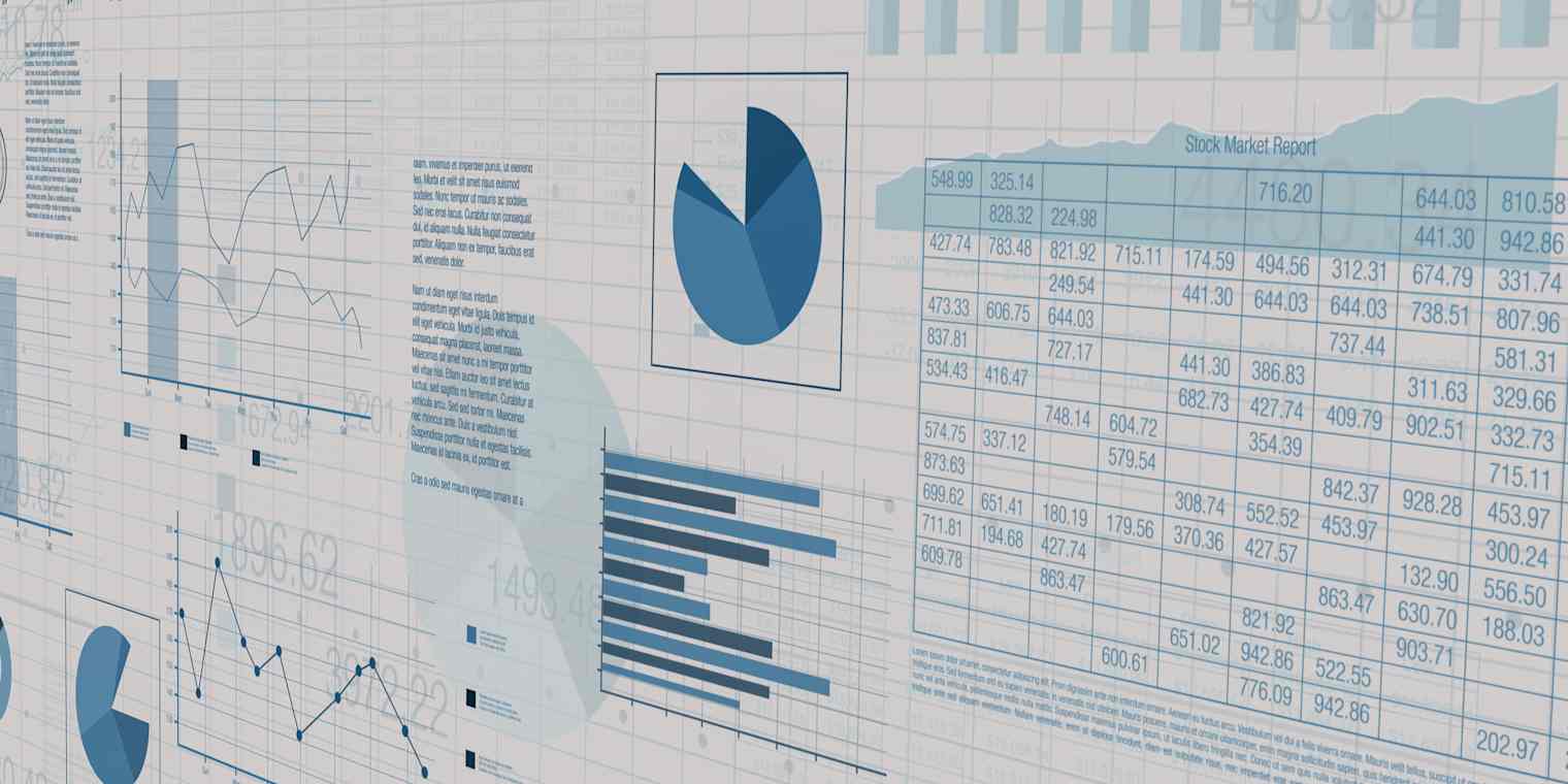 A computer monitor showing a combination of charts and tables.