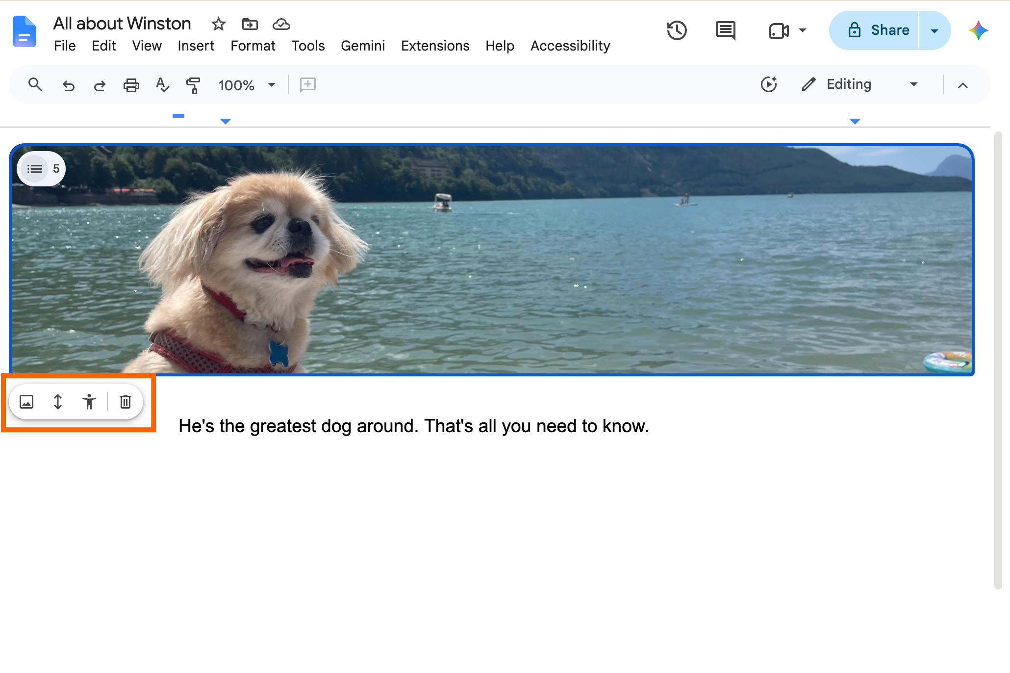 Image de couverture dans Google Docs avec la barre d’outils flottante de l’image de couverture en surbrillance.