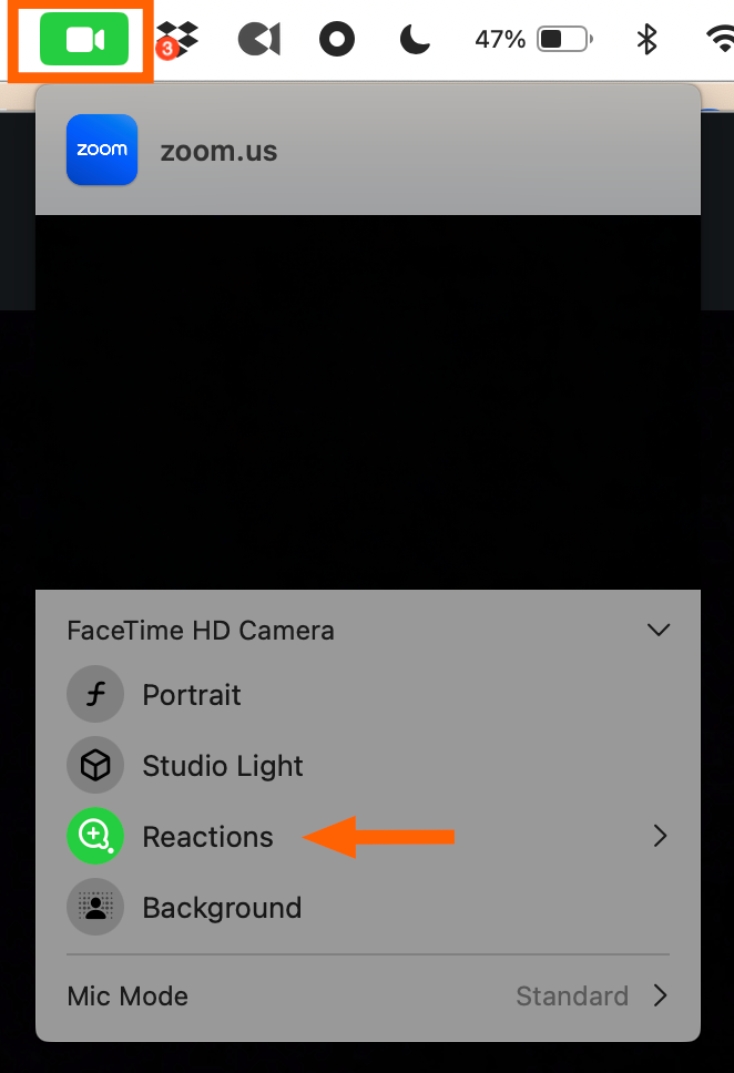 Expanded view of the video menu on a Mac with the reactions feature enabled.