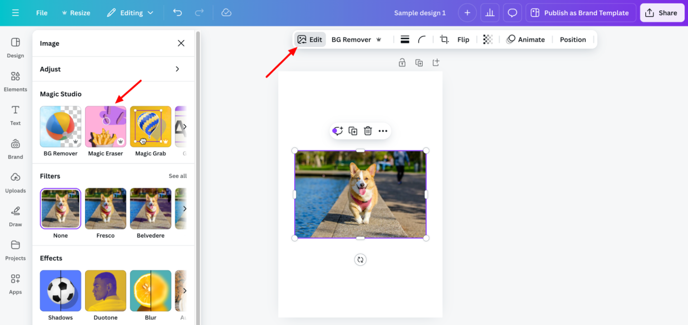 Edit side panel in the Canva editor with an arrow pointing to Magic Studio tools. 