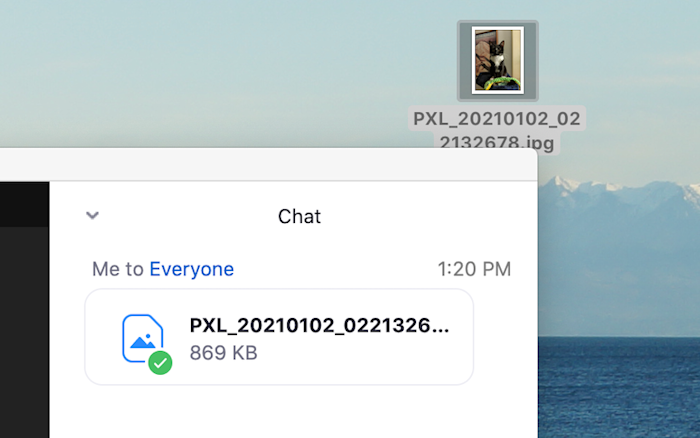 4 Tips For Zoom Chat Zapier 4 Tips For Zoom Chat Zapier