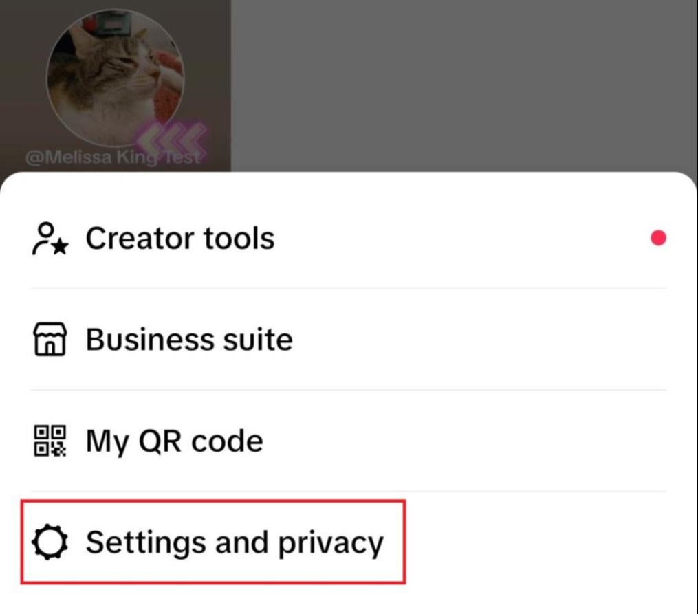 The Settings and privacy option on TikTok