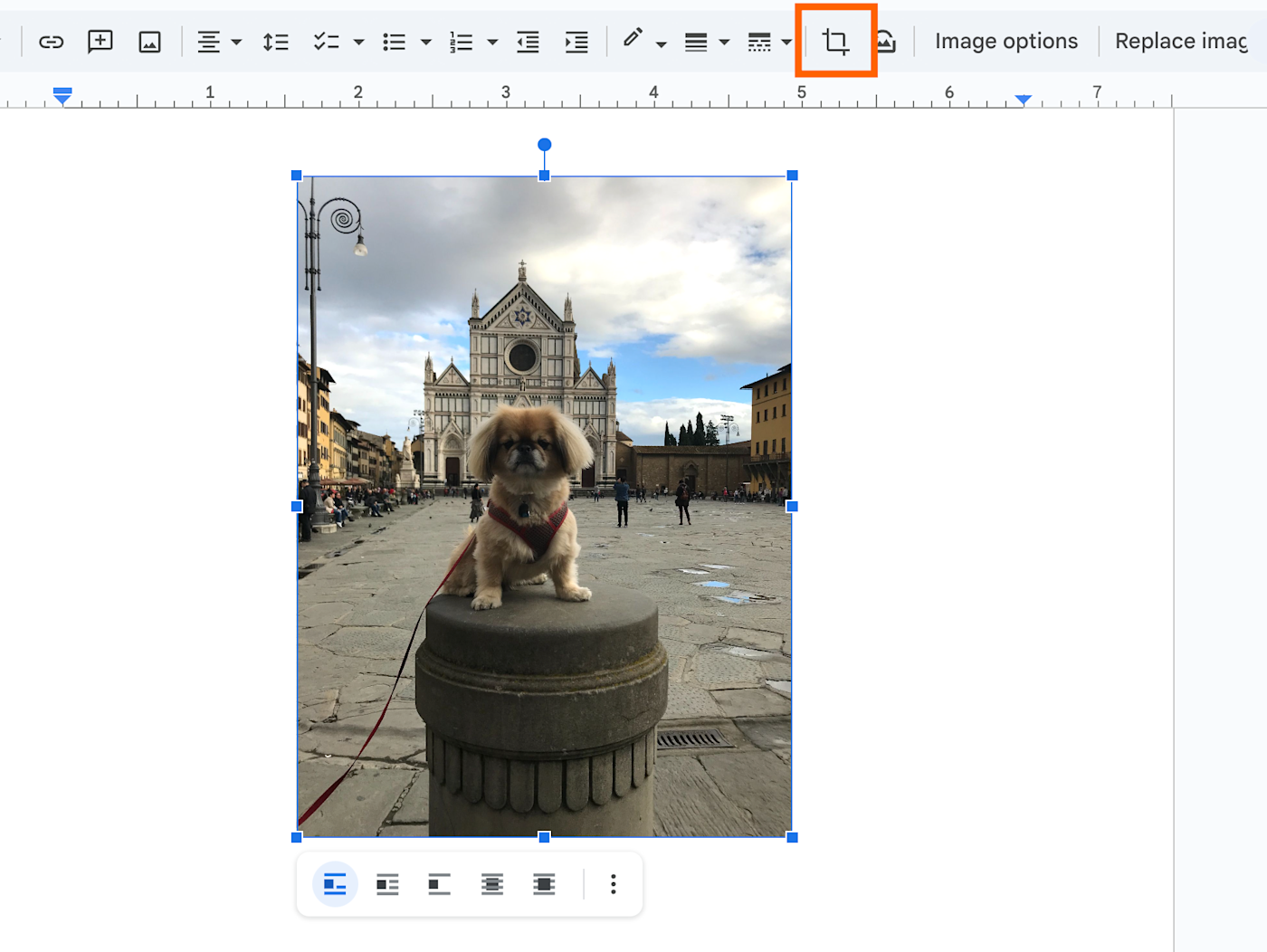 Image in Google Docs with the crop icon highlighted in the toolbar. 