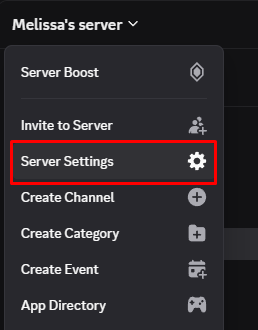 Clicking Server Settings in Discord