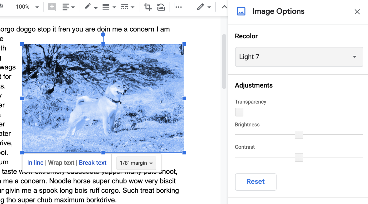 Google Docs image options