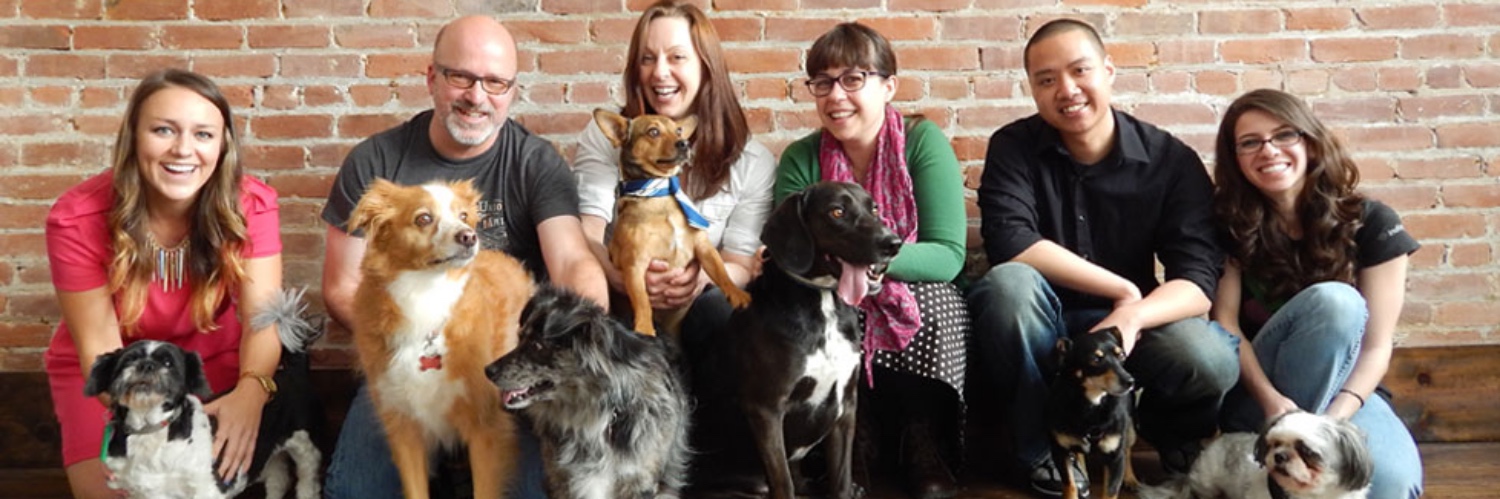 A photo of the Indiegogo team and their dogs