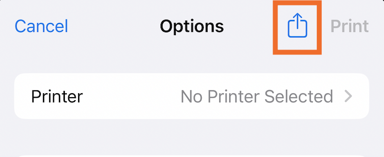 Print options popup with the share icon highlighted.