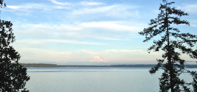 Mt. Rainier Company Retreat