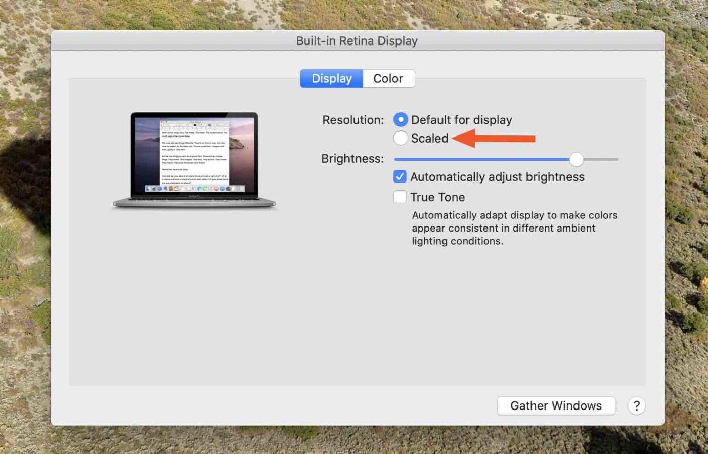 Display Scaled option in macOS System Preferences