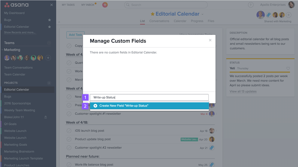 Custom fields in Asana