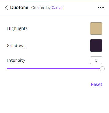 Customizing the colors of an image in Canva