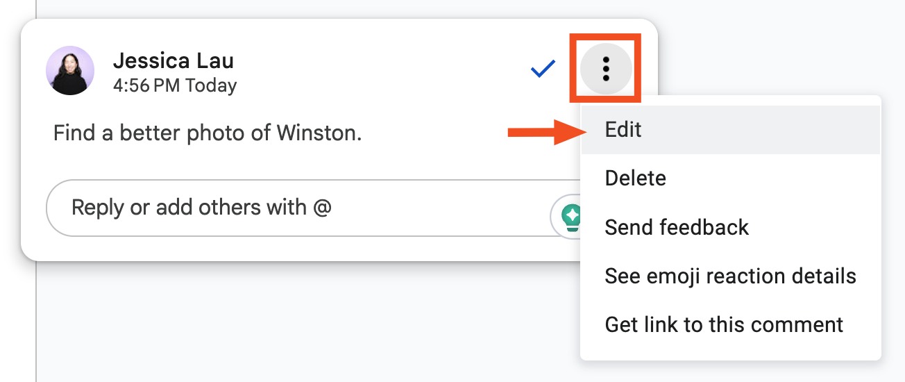 Comment in a Google Docs document with the edit option selected.
