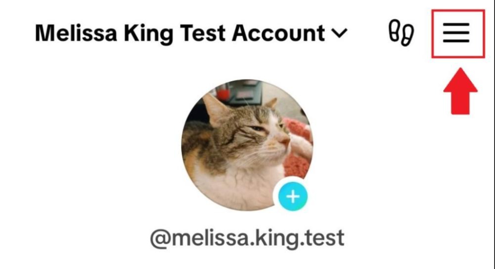 The hamburger menu icon on TikTok