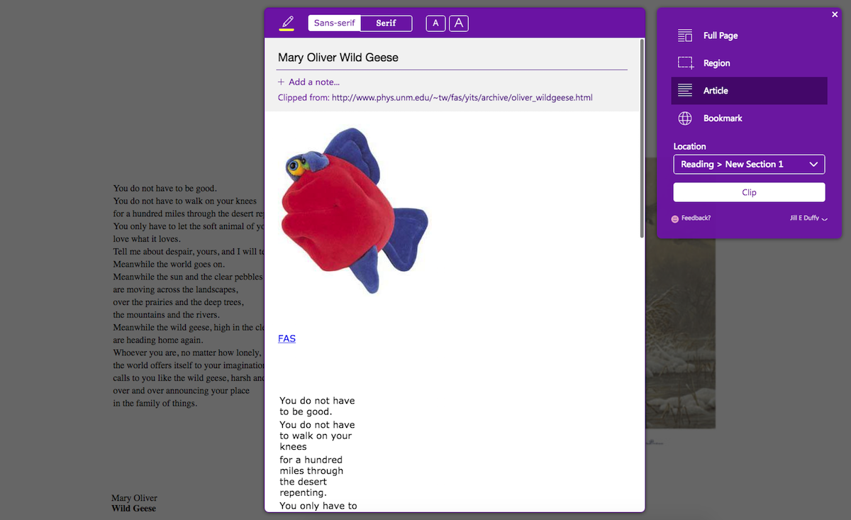 Onenote