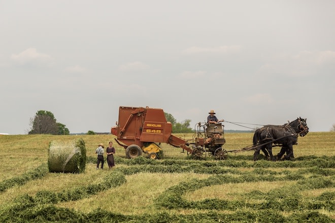 Amish Farmers