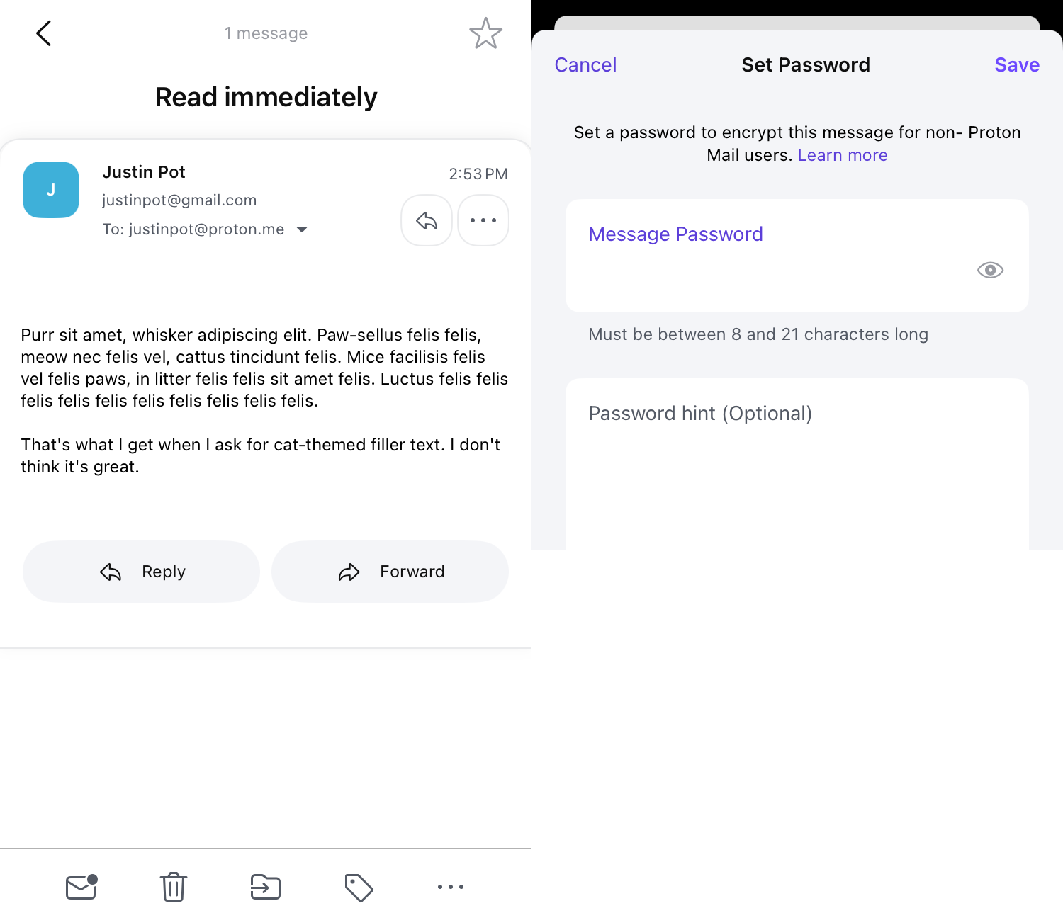 ProtonMail, our pick for the best iPhone email app for security and privacy