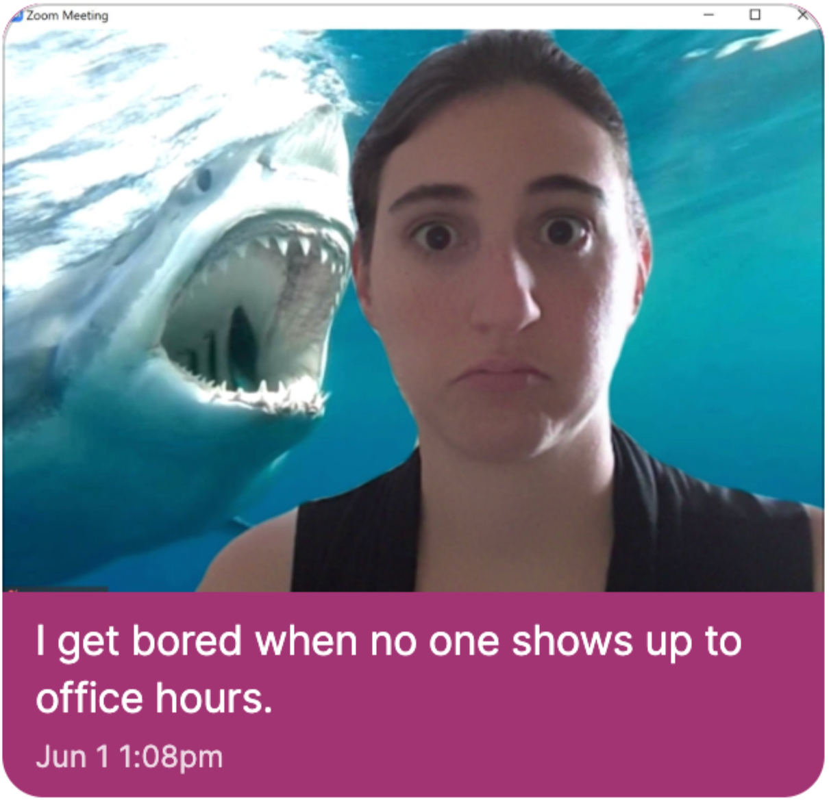 A woman with a Zoom background of a Shark eating her