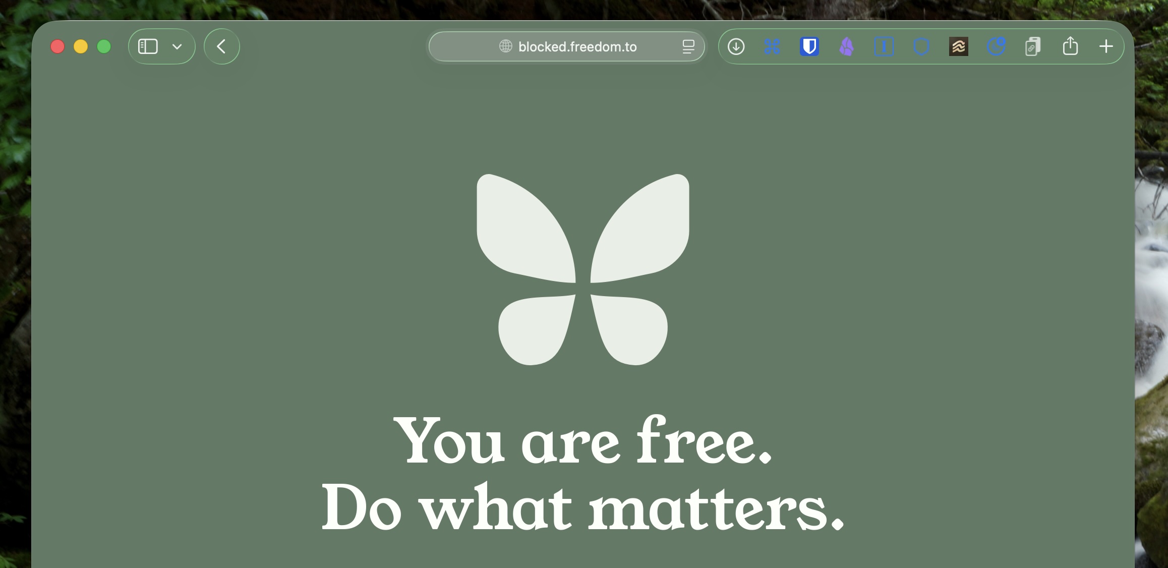 Freedom, our pick for the best Mac productivity app for blocking distractions.