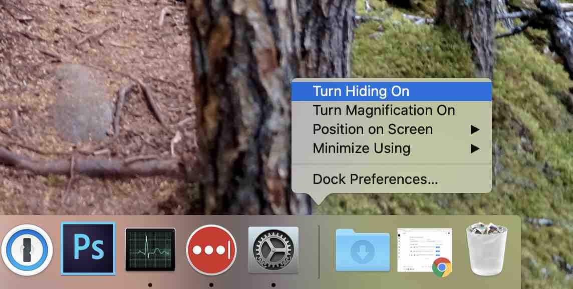 Turn hiding on for the macOS Dock