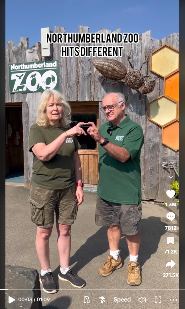 Screenshot of the Northumberland Zoo TikTok