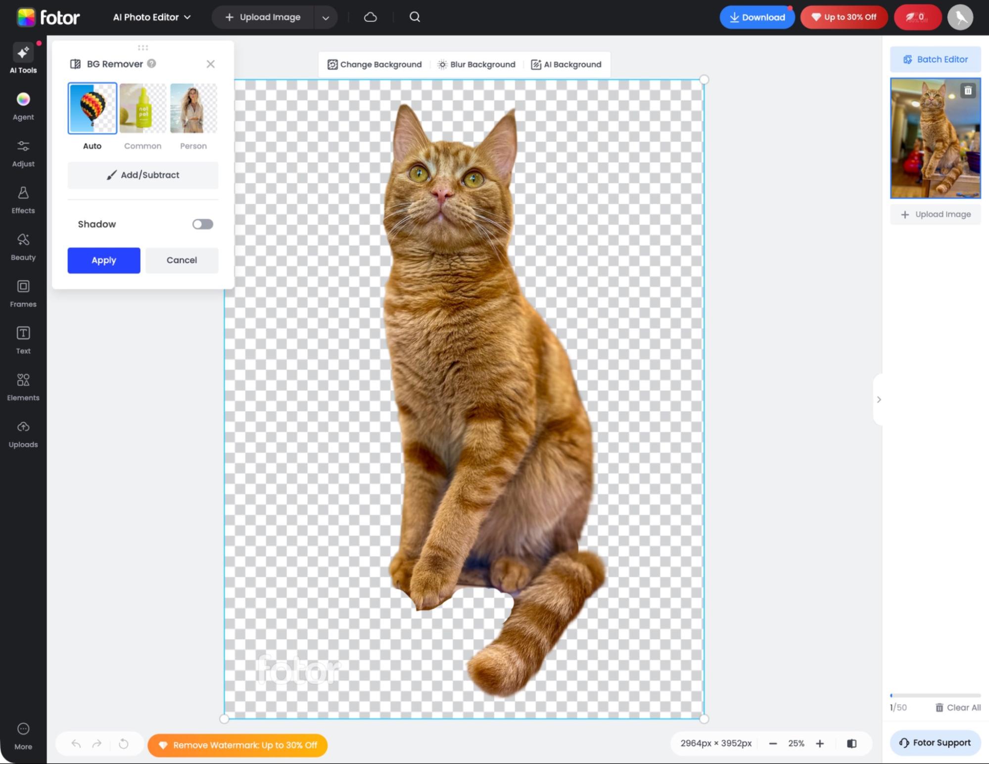 Fotor, our pick for the best free Photoshop alternative for easy AI tools