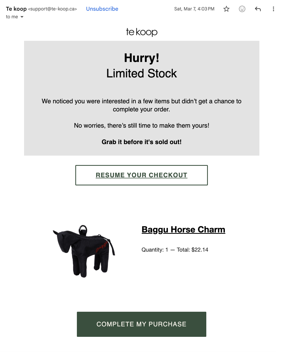 Abandoned cart email marketing example from the retail company Te Koop.