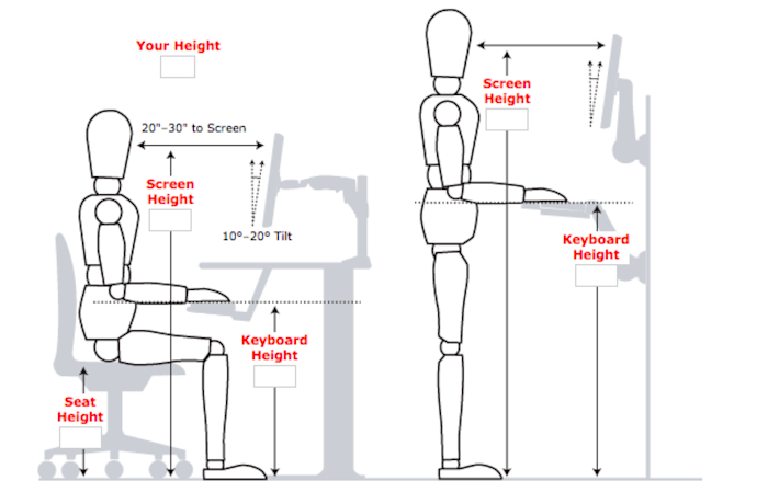 Productivity And Ergonomics The Best Way To Organize Your Desk