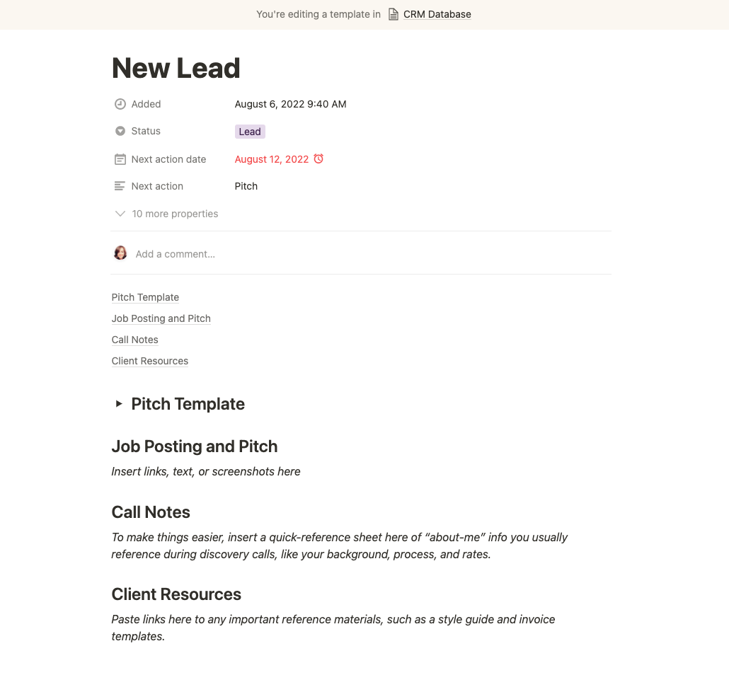 The template for new leads in Notion CRM